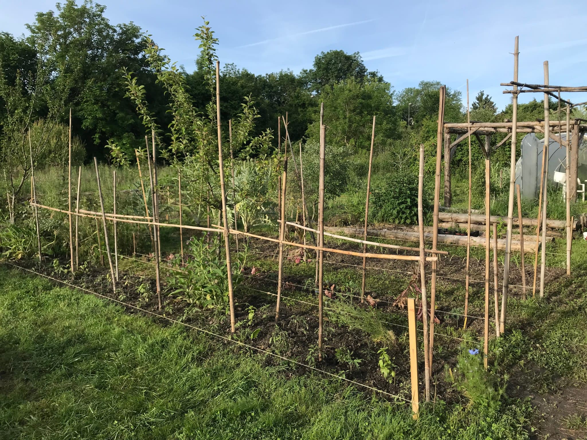 L’agriculture urbaine, principe et organisation