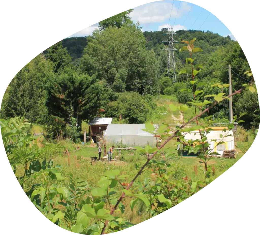 Photos du jardin partagé le Jardin des Familles à Coulounieix-Chamiers.